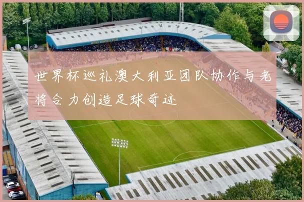 世界杯巡礼澳大利亚团队协作与老将合力创造足球奇迹