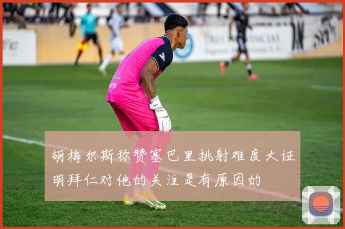 胡梅尔斯称赞塞巴里挑射难度大证明拜仁对他的关注是有原因的
